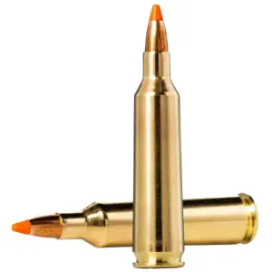 Rifle Ammo